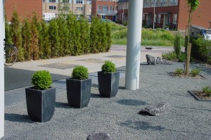 Bestrating en natuursteen